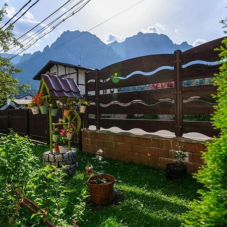Casa Ramino Hotell Buşteni Eksteriør bilde
