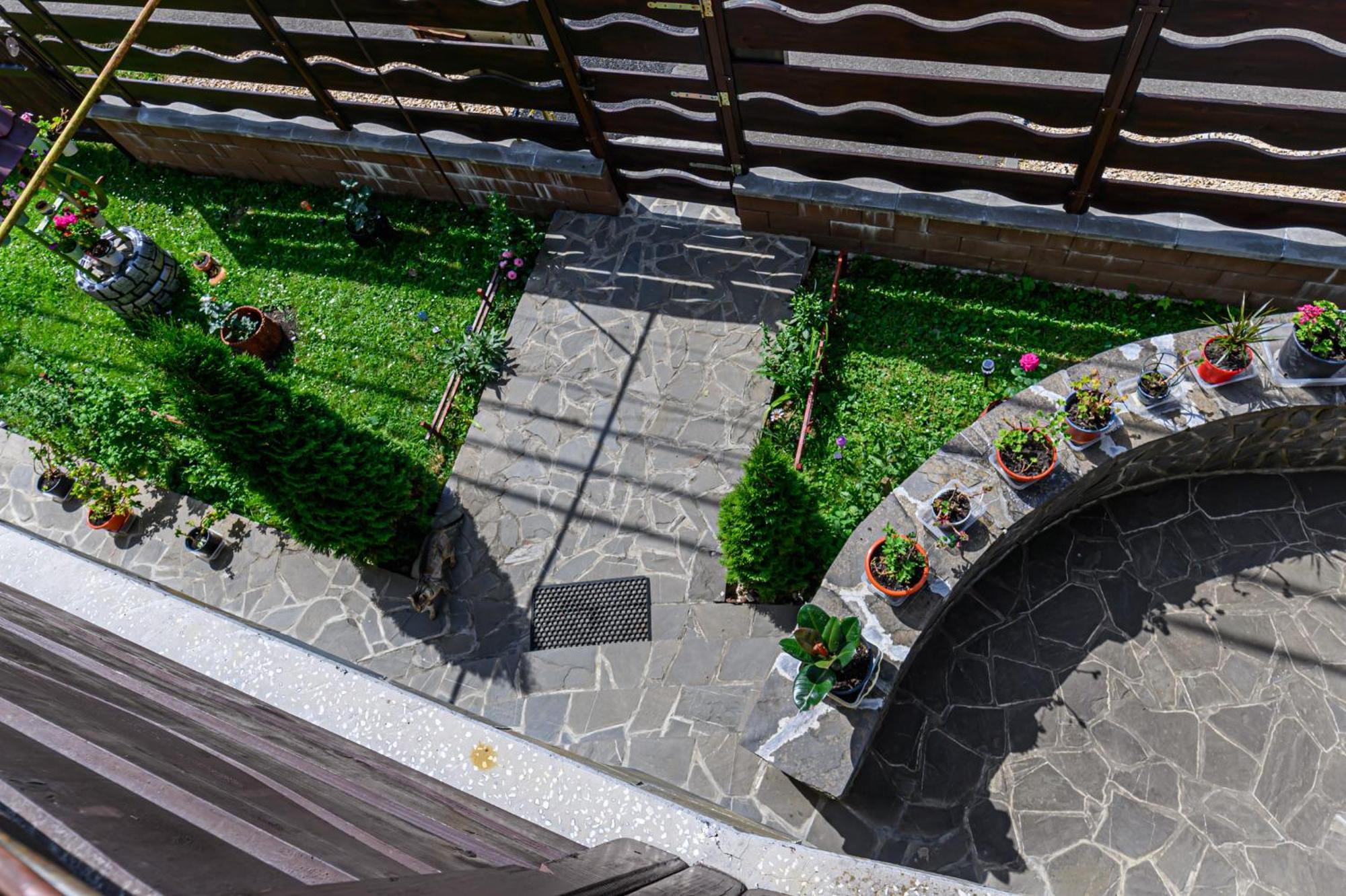 Casa Ramino Hotell Buşteni Eksteriør bilde